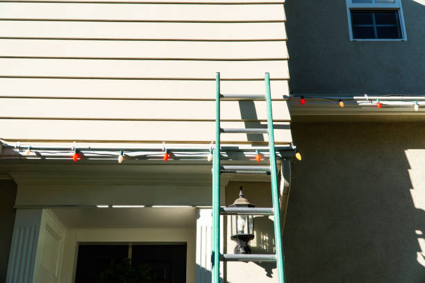 Best Steel Siding Installation  in Leipsic, OH